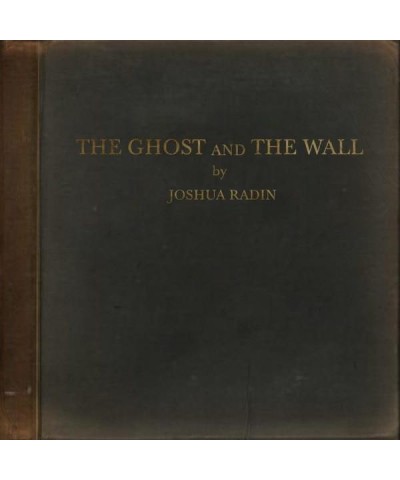 Joshua Radin GHOST & THE WALL Vinyl Record $4.65 Vinyl