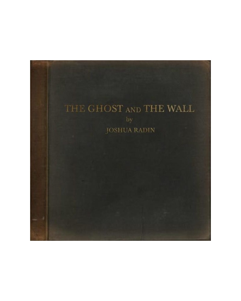 Joshua Radin GHOST & THE WALL Vinyl Record $4.65 Vinyl