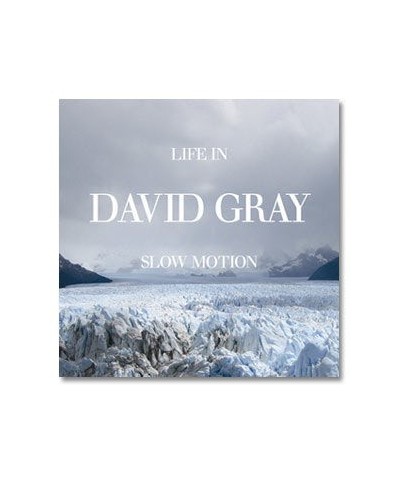 David Gray Life In Slow Motion CD $17.24 CD