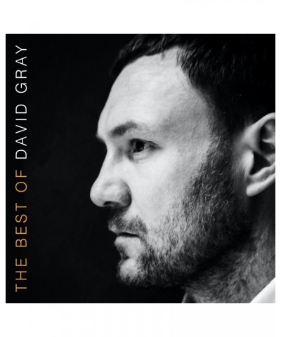 David Gray THE BEST OF DAVID GRAY CD $10.31 CD