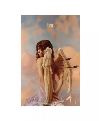 Camila Cabello Liar Poster $42.02 Decor