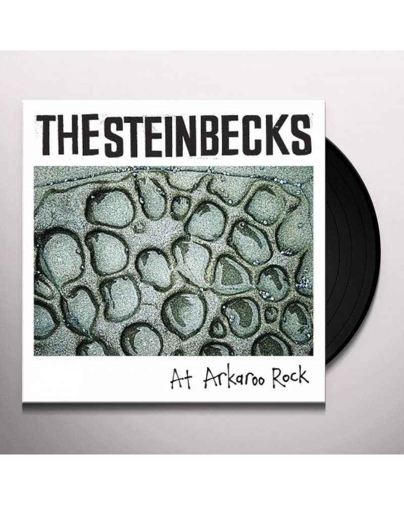 The Steinbecks AT ARKAROO ROCK Vinyl Record $6.37 Vinyl