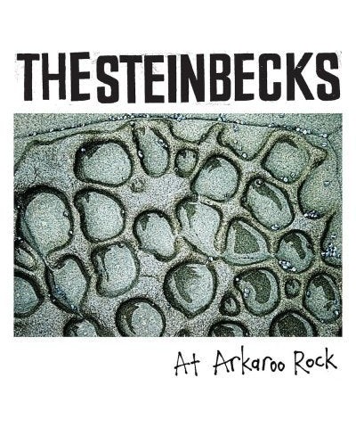 The Steinbecks AT ARKAROO ROCK Vinyl Record $6.37 Vinyl